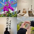 성호박물관 | 안산 가볼만한곳 어디? 안산식물원 성호박물관 코스