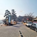 솔밭해안가펜션 | 용두해수욕장 해변과 숲속야영장 캠핑장 여기가 대박이네