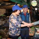 신월7동 골목시장 이미지