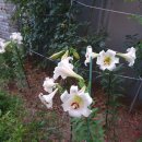 동대전모터스 이미지