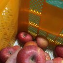 하은농원 이미지