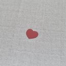 제주베이스캠프 이미지