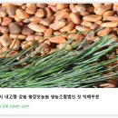 평창농원 이미지