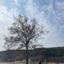 공중화장실(국궁장) | [부산근교여행] 풍경이 다하는 밀양으로 가요(금시당, 나홀로나무)