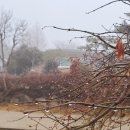 백일홍 민박집 이미지