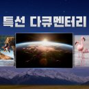 [KBS1] 현충일 특선 다큐 장진호 전투 이미지