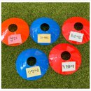 창원애견호텔 강아지유치원 애견미용 맘바이 창원점 이미지