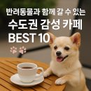 권선구청 회의실 | 반려동물과 함께 갈 수 있는 수도권 감성 카페 BEST 10