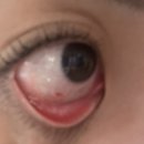 코코짱 뽑기방 | 2025年3~6月の日常