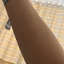 만안보건소 화장실 | 차~36주차 증상 및 몸무게,36주차 제왕절개,중앙대광명병원 막달 검사,입원 수속,출산 준비,4인 병실 후기