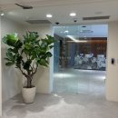 동양정밀 | [대전/서구] 생명의 정원 (e보건소 산전검사 _ 남자 정밀정자검사+균검사 후기)🩺 (주차/대기시간)