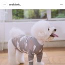 블랭크빔 이미지