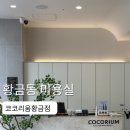 황금스파 | 황금동 미용실 코코리움황금점 헤드스파 후기
