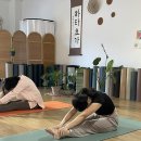 요가초급반 이미지