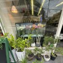 삼원온누리약국 이미지