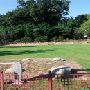 슈팅당구장 이미지