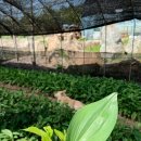 원근농장 이미지