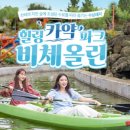 비체올린 이미지