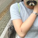 종로-연건-종로-연-266 | 빼이따이 (끈홀더, 뻬이따이 등등...) 만들기 in 동대문