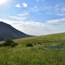 민들레부동산 공인중개사사무소 이미지