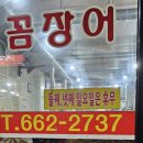 남해산곰장어 | 꼼장어 먹장어 효능과 맛집 먹방 후기