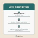 휴동물의료센터 이미지