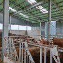 우사축사 이미지