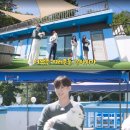 펫미픽미 이미지