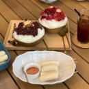 이집이좋겠네 이미지