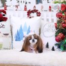 아콩하우스 이미지