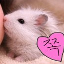 수락산역 4~5번출구 이미지