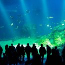 블루플래닛 이미지