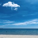 울진물회 | 울진 물회 맛집 경용회식당 내돈내산 솔직 후기