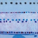 종달새 노래할 때 이미지