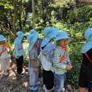 원암어린이집 이미지