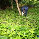 김진규농장 이미지