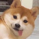 산울림식당 이미지