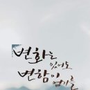 킹콩약국 이미지