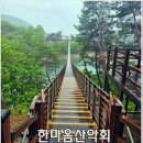 [충북여행] 청풍호반 케이블카/옥순봉 출렁다리/구인사 이미지