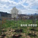 홍성공인중개사사무소 이미지