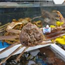 cu강구항점 이미지