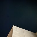 베지아웃 이미지