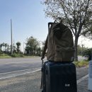 어락게스트하우스 | 제주도 여행 1일차, 평화로운 대평리 입성하다