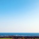 더코브호텔 이미지