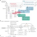 Re:Free Fatty Acid Receptors in Health and Disease - 2019리뷰(영향력지수 24) 이미지