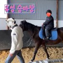 대전승마장 | 아이와 함께 스포티 펀 클럽 유성승마장 승마 체험 리뷰