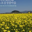 진도코다리