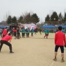 응봉초등학교 이미지