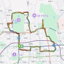 댕댕특별시 | [서울/광화문 러닝코스] 귀여운 댕댕이 한마리 몰고가세여, 댕댕런 코스 (+gpx파일 첨부)