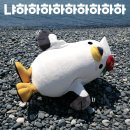 동백갈매기